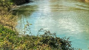 Ein Fluss mit einem kleinen Gebäude in der Ferne, umgeben von Bäumen und Grün.