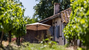 A rustic building with a tiled roof, a wooden fence, and a table with an umbrella.
