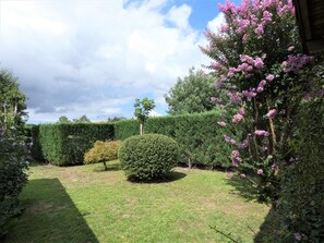 Property grounds - Le Cerf - Linxe - Gîte (LINXE)