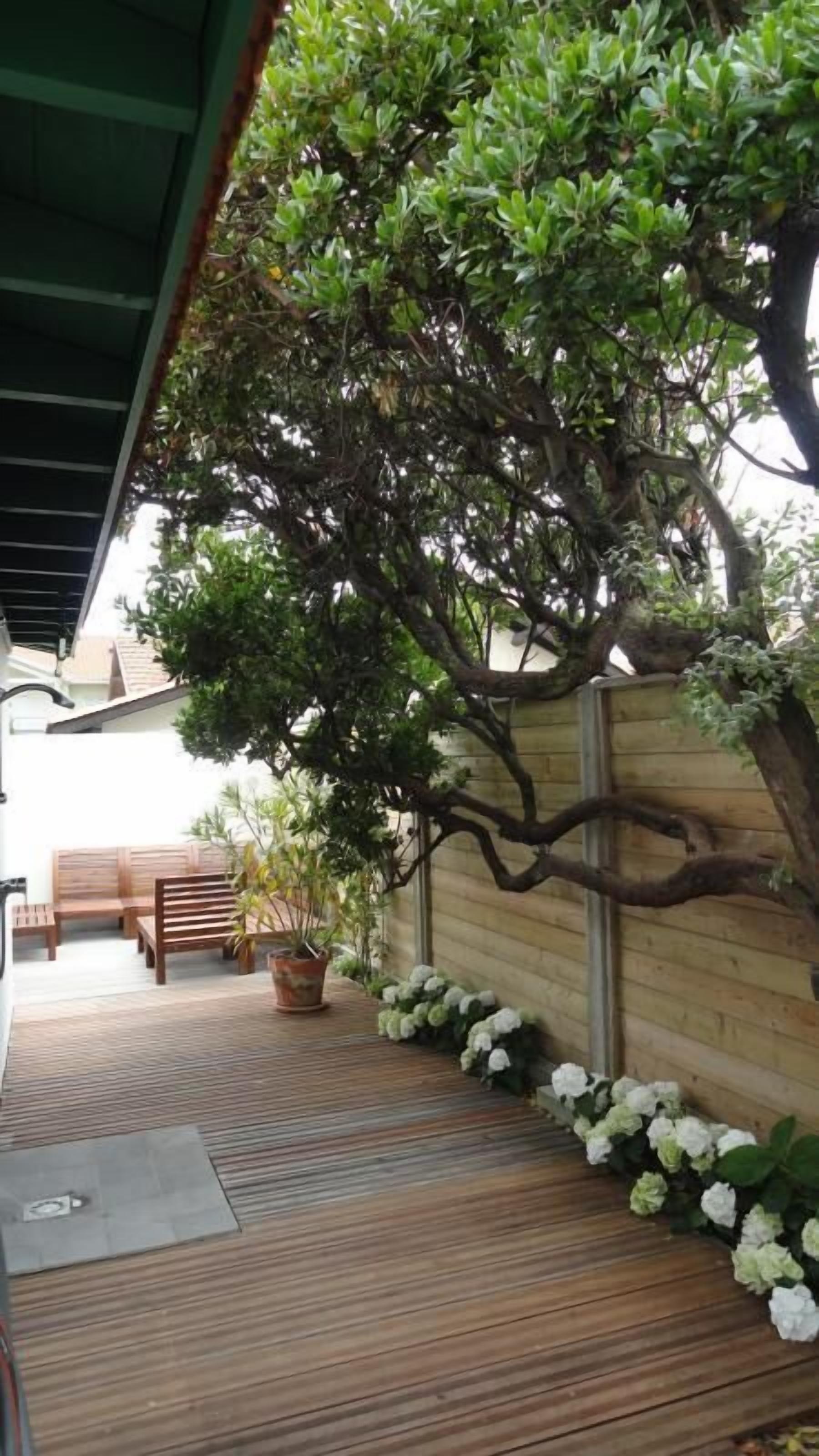 A wooden deck with a potted plant and white flowers.