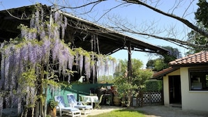 A covered outdoor area with a table and chairs, a pergola with hanging vines, and a building with a tiled roof. - L'ecureuil - Soustons (SOUSTONS)