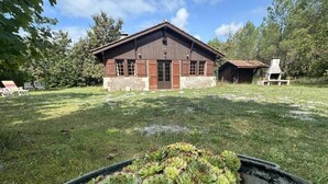 Un bâtiment rustique, doté de fondations en briques et d’une structure supérieure en bois, entouré d’une zone herbeuse où se trouve, au premier plan, un grand bac rempli de plantes succulentes.