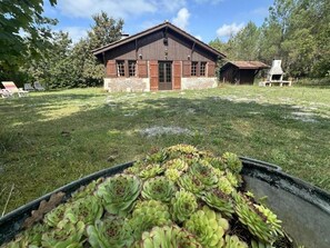 Property grounds - La Bergerie de Lesbordes (ONESSE LAHARIE)