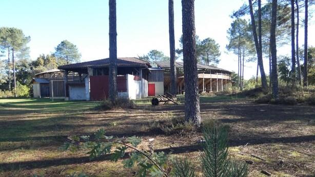 A rustic building with a red door and a covered porch, surrounded by tall trees and a grassy area.