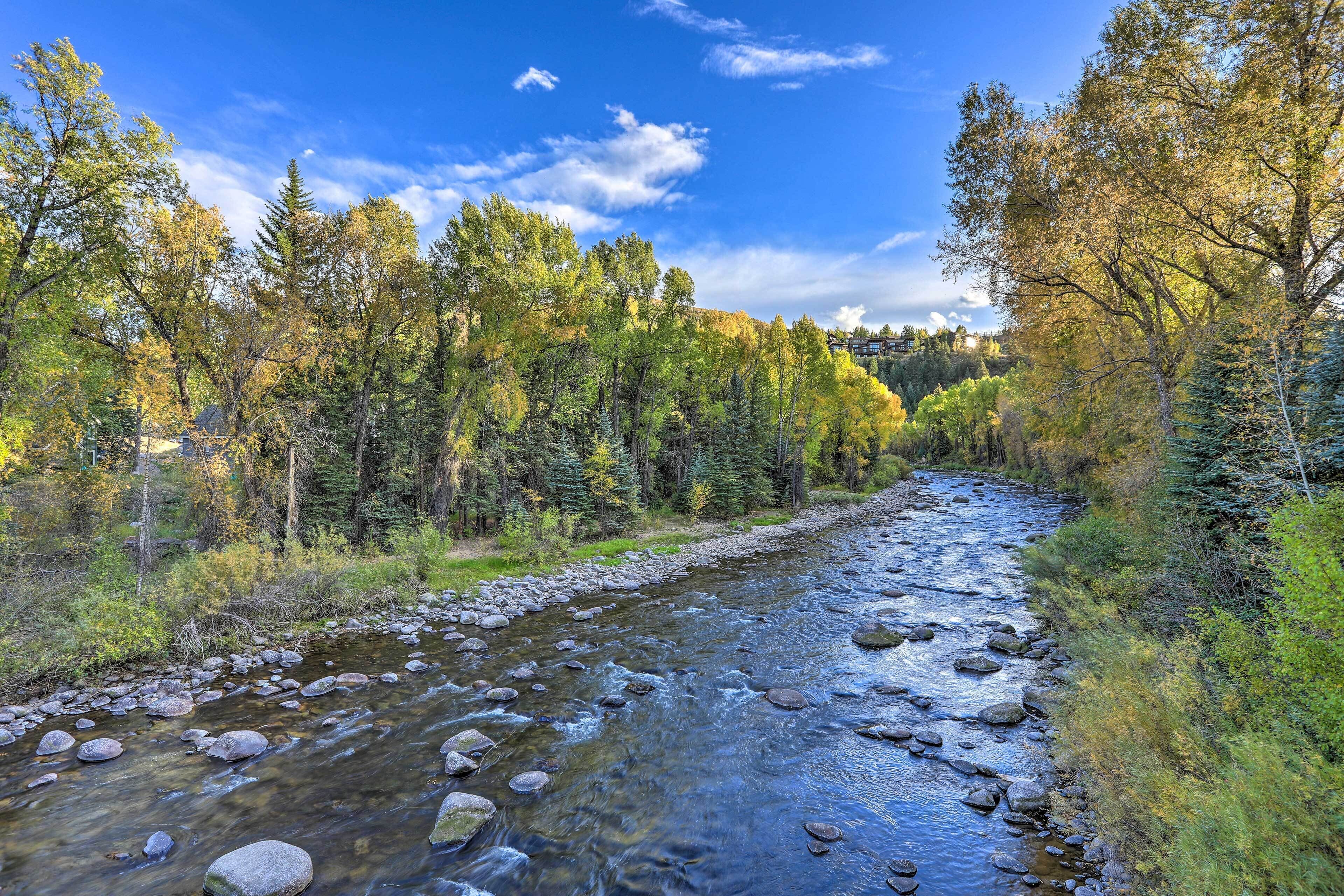 A river flowing through a forest with trees and rocks.
