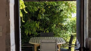 Une terrasse avec une table et des chaises, entourée de verdure.