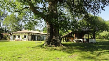 Un bâtiment rustique avec un grand arbre devant, une balançoire et un petit abri de jardin.