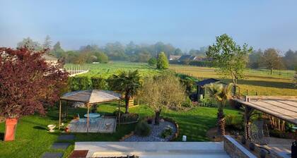 Prune - ST-VINCENT-DE-PAUL