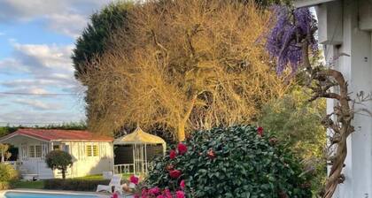 Prune - St-vincent-de-paul