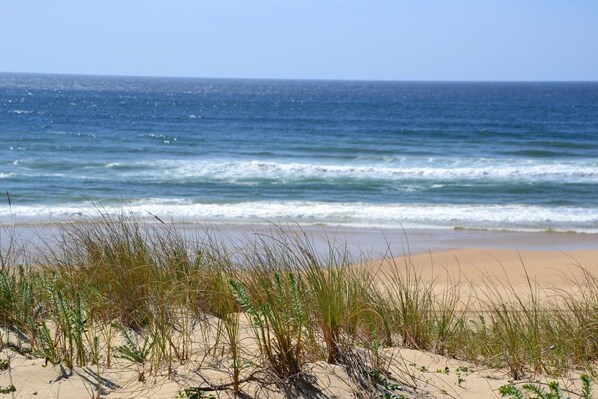 Beach - L'atelier S - Leon - Gîte (LEON)