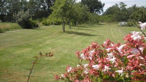 A well-maintained grassy area with trees and flowering shrubs.