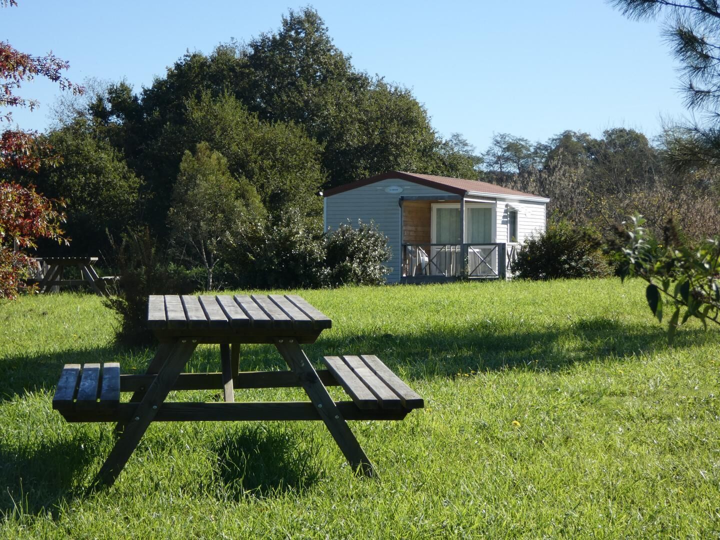 A picnic table in a grassy area with a small building in the background.