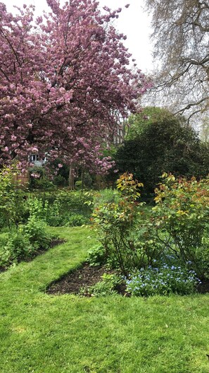 Property grounds - Notting Hill communal garden 2 bed flat (London)