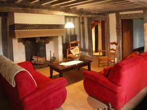 TV, fireplace - Le Bourrut - Luglon - Gîte (LUGLON)