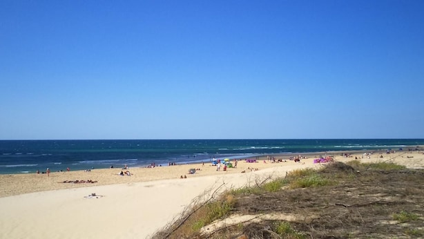 A beach with people, umbrellas, and tents. - Chez Detché - Mimizan (MIMIZAN)