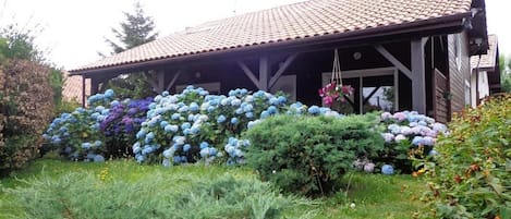 Ulkopuoli