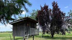 A wooden cabin with a wooden deck and a ladder leading up to it, situated in a grassy field with trees in the background. - Le Tastet - Saint LON LES Mines (SAINT LON LES MINES)