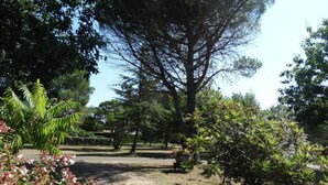 A park with a dirt path, various trees, and flowering plants. - Le Gîte du Pont Blanc (ST-JULIEN-EN-BORN)