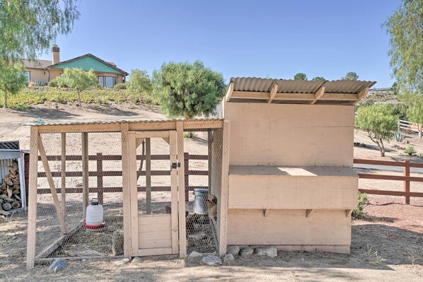 Appartement (1 Bedroom) | Interieur