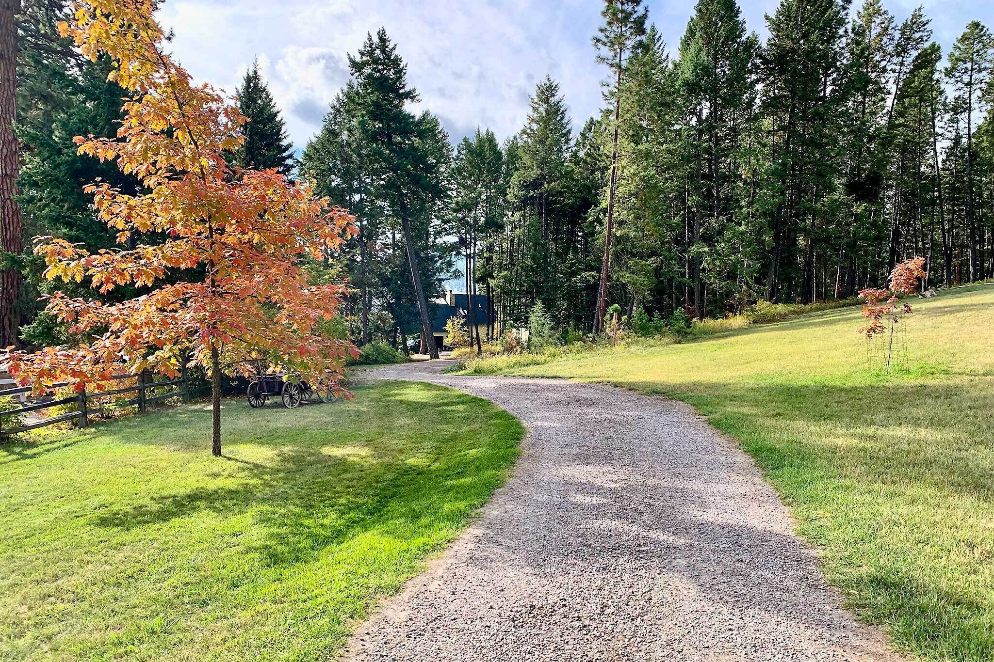 A gravel path winding through a park with autumn foliage and tall trees.