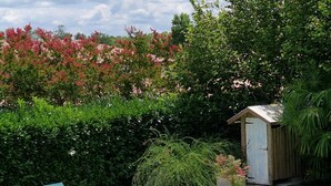 A swimming pool with lounge chairs, surrounded by lush greenery and a small shed. - Arsuzon - Josse - Gîte (JOSSE)