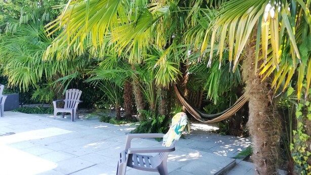 A patio area with a hammock, outdoor chairs, and lush greenery. - Arsuzon - Josse - Gîte (JOSSE)