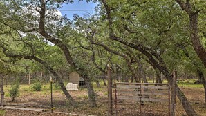 Un espacio al aire libre con árboles, una cerca de madera y una cerca de alambrade.