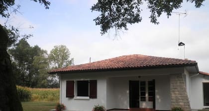 Petit Laffargue - ST-JULIEN-D'ARMAGNAC
