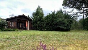 A rustic cabin with a wooden exterior, surrounded by a grassy yard and dense trees.