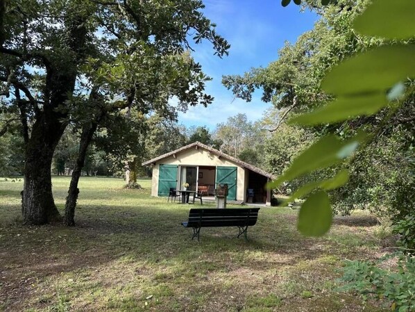 Property grounds - Gîte de Tambourin - Argelouse (ARGELOUSE)