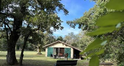 GĂźte de Tambourin - ARGELOUSE