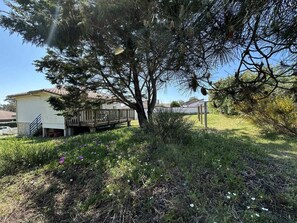 Property grounds - Dune - Vieux-boucau - Gîte (VIEUX-BOUCAU)