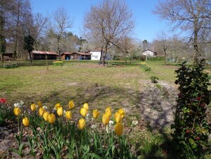 Property grounds - Les Tuileries - Vert (VERT)