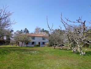 Exterior - Les Tuileries - Vert (VERT)