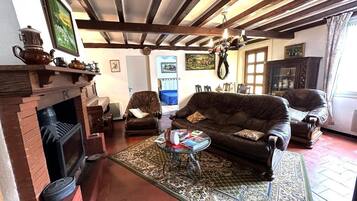 TV, fireplace, DVD player