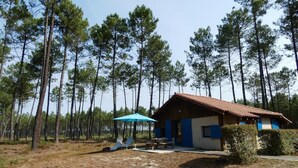 Une cabane avec un toit en tuiles, entourée de grands pins.