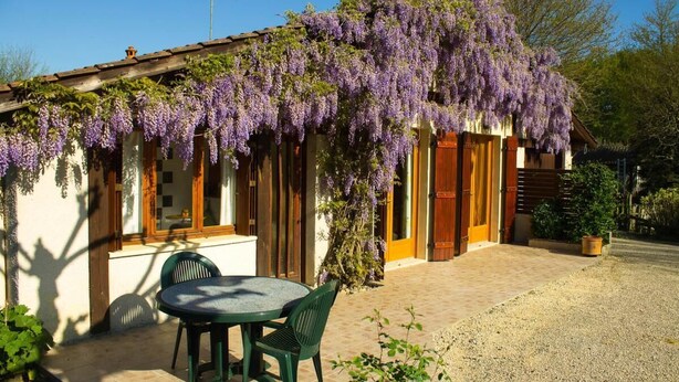 A rustic building with a covered patio, a table with chairs, and purple wisteria vines. - Gîte de la Mousque - Castets (CASTETS)