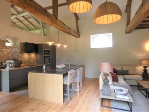 TV, fireplace - Les Ecuries du Château (BIAUDOS)