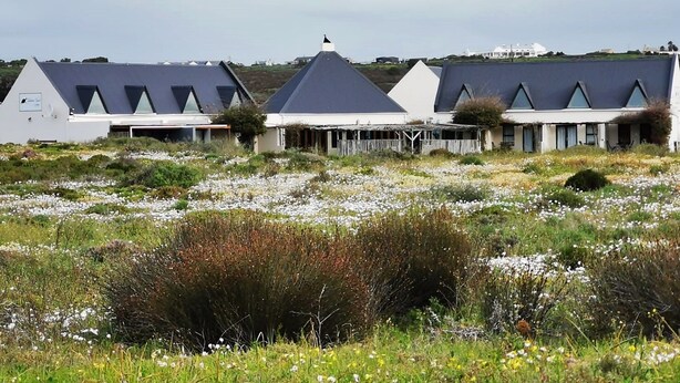 En række moderne bygninger med skrå tage, omgivet af et naturligt landskab med vilde blomster og buske.