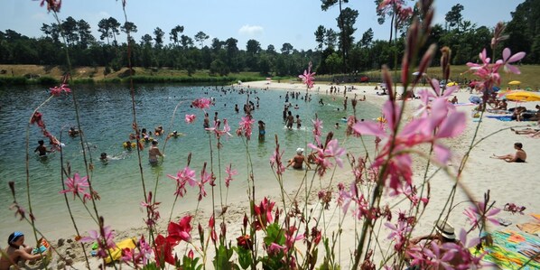 Beach - Gaillat - St-perdon - Gîte (ST-PERDON)