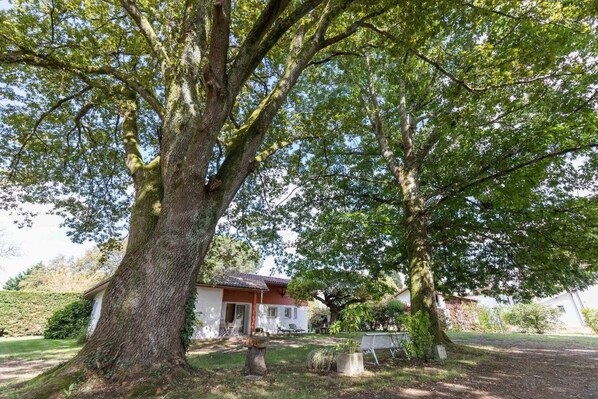 A large tree in front of a house with a white exterior and a red roof.