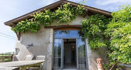 Cabernet - BENESSE-LES-DAX