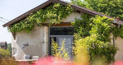 Cabernet - Benesse-les-dax