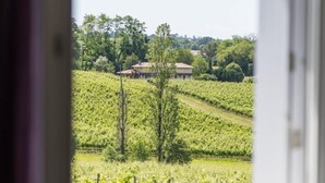 Une vue à travers une fenêtre ouverte, donnant sur un vignoble avec des rangées de vignes et un bâtiment en arrière-plan.