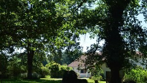 Une maison entourée d’une végétation luxuriante et d’arbres.