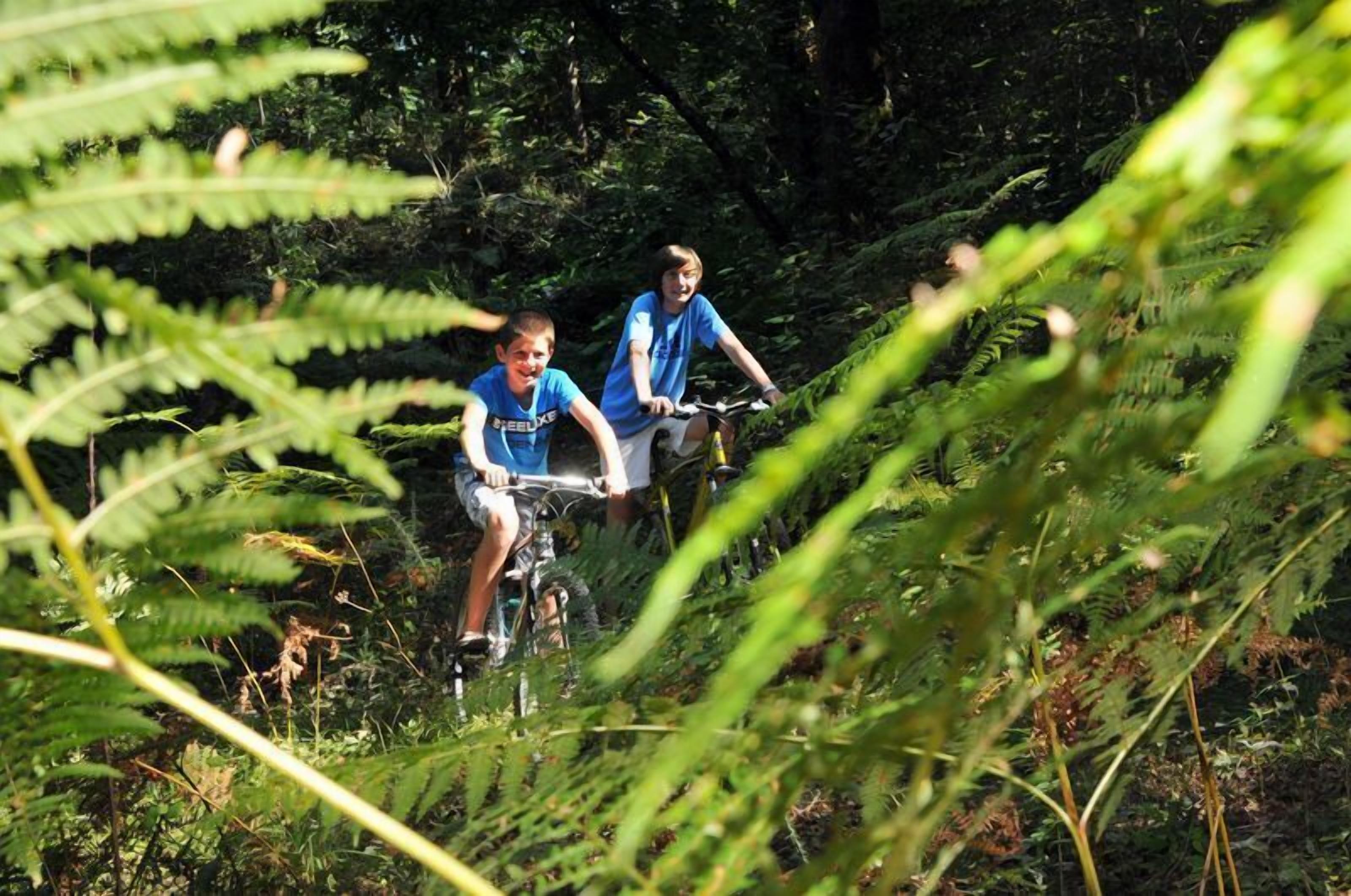 Dos personas montando en bicicleta en un área boscosa.