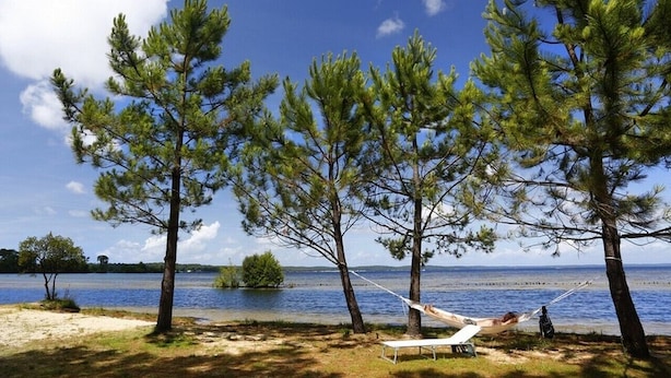 Riippumatto kahden puun välissä järven rannalla, taivaalla ei pilviä.