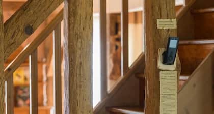 Vieux chĂȘne - VERT - GĂźte