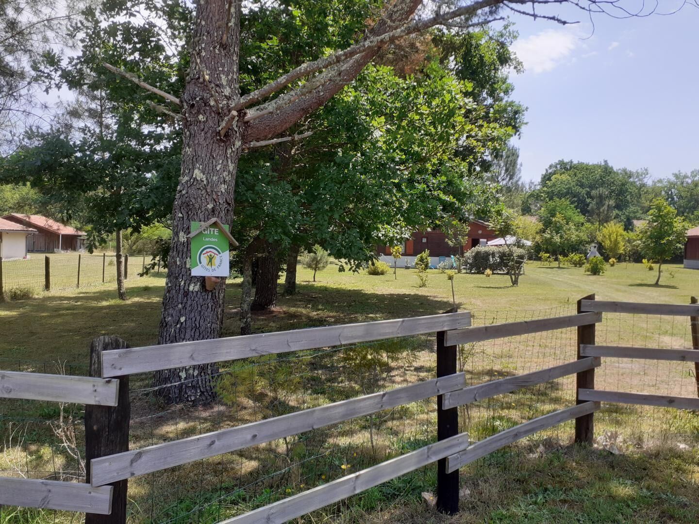 A wooden fence with a birdhouse attached to a tree.