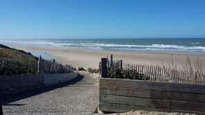 Beach - Rose - Biscarrosse - Gîte (BISCARROSSE)